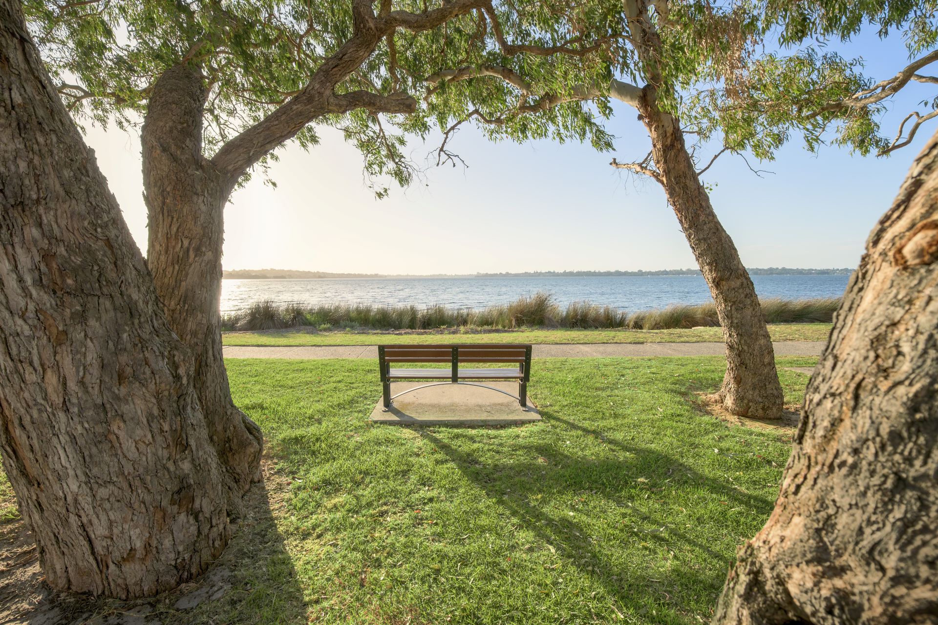 Tompkins Park - River Views_Trees_Bench_
