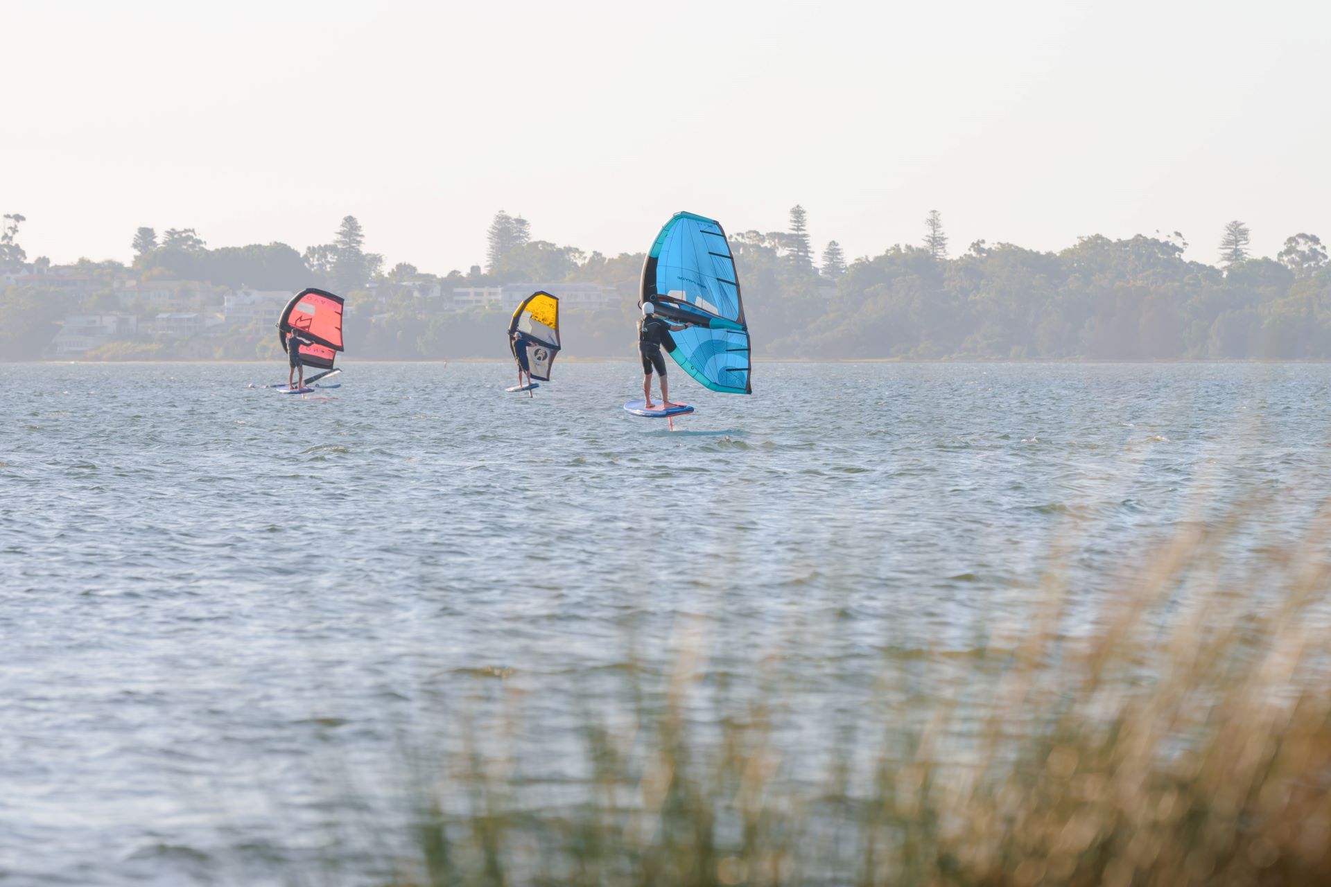 Tompkins Park - Wind Surfers (1)